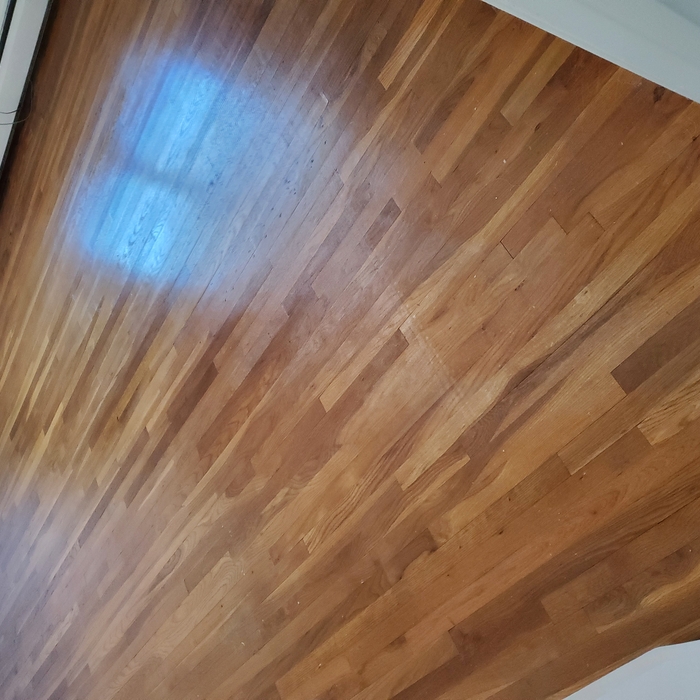 floor refinish