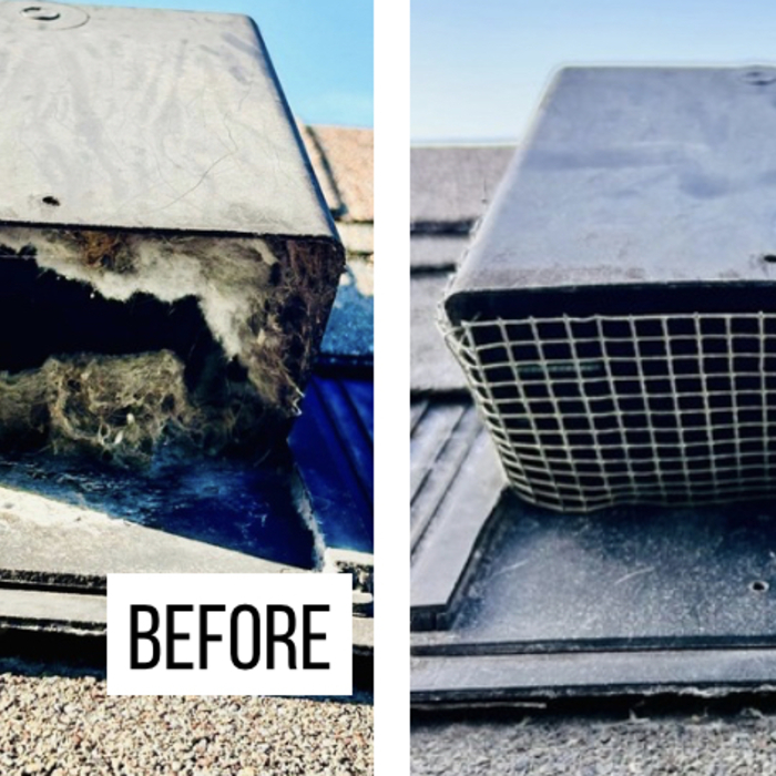 Clean Dryer Vent