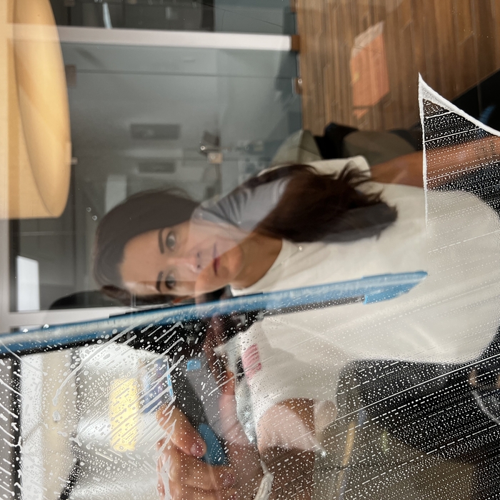 Traditional Window Wash