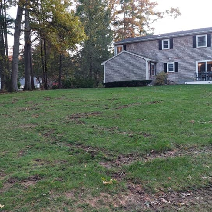 Debris removed