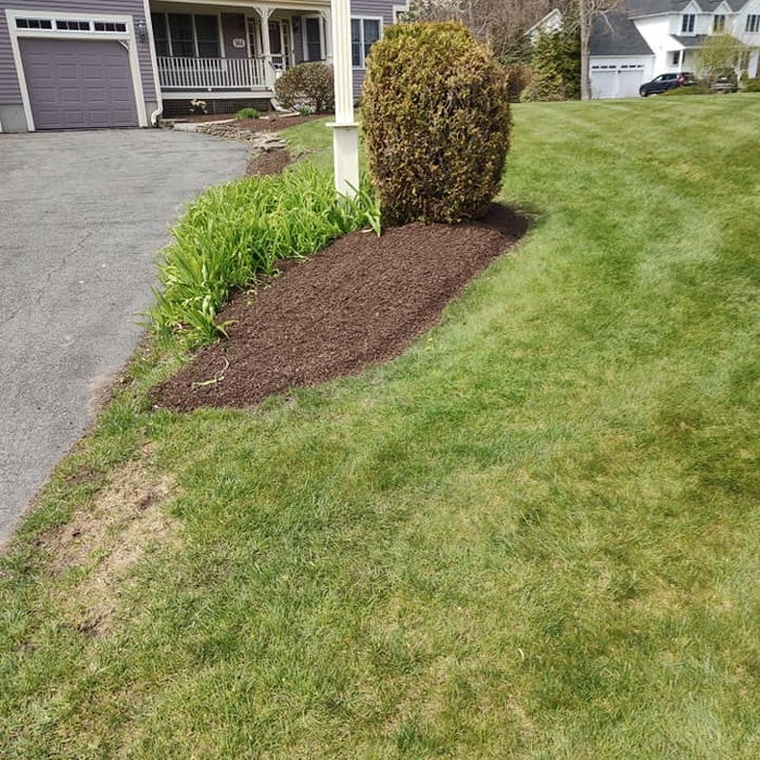 Front mulch bed