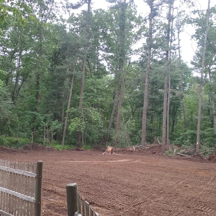lot clearing