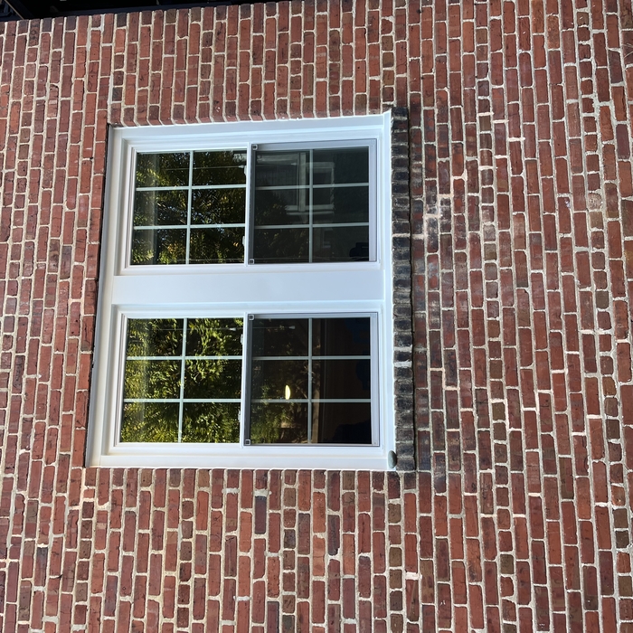 Windows Downtown
