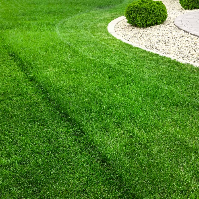 Lawn Maintenance NJ
