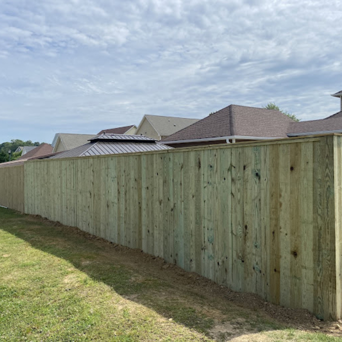 Our Projects