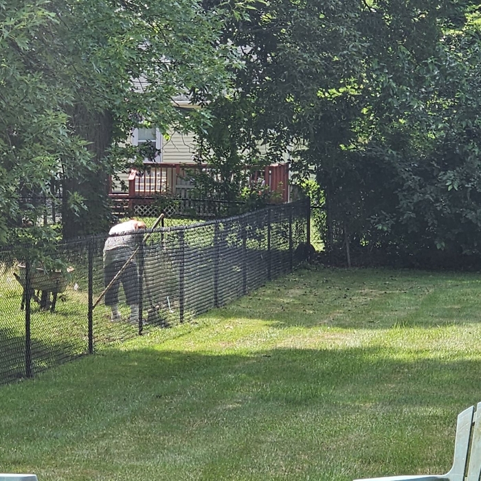 4 feet high black chain link fence