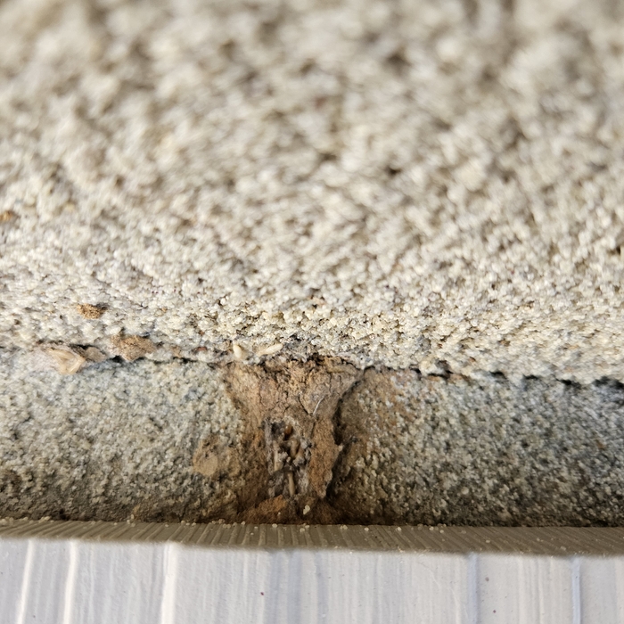 Termite tunnel