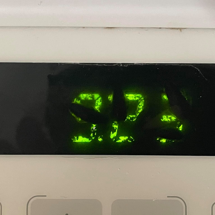 In the Oven