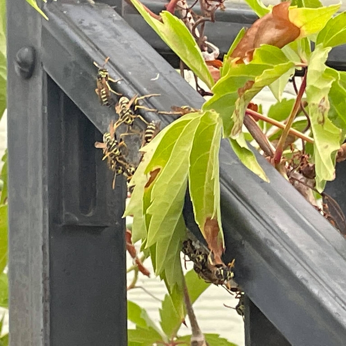 On the hand railing