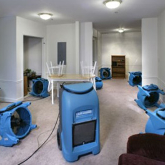 Water cleanup