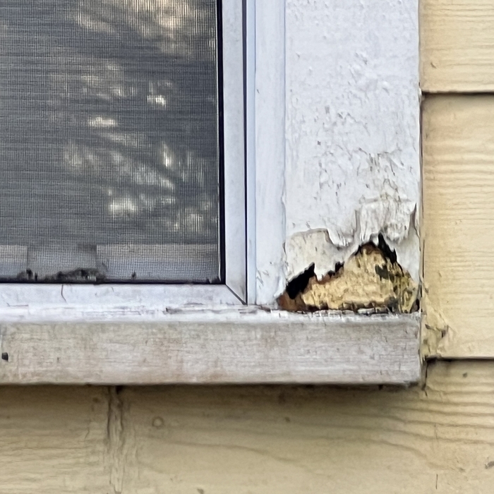 A Home Inspection You Can Count On!