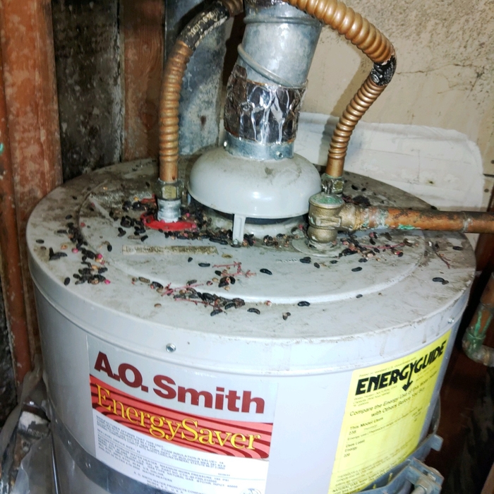 Old water heater