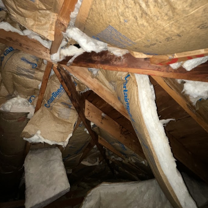 Coletta Home Inspections