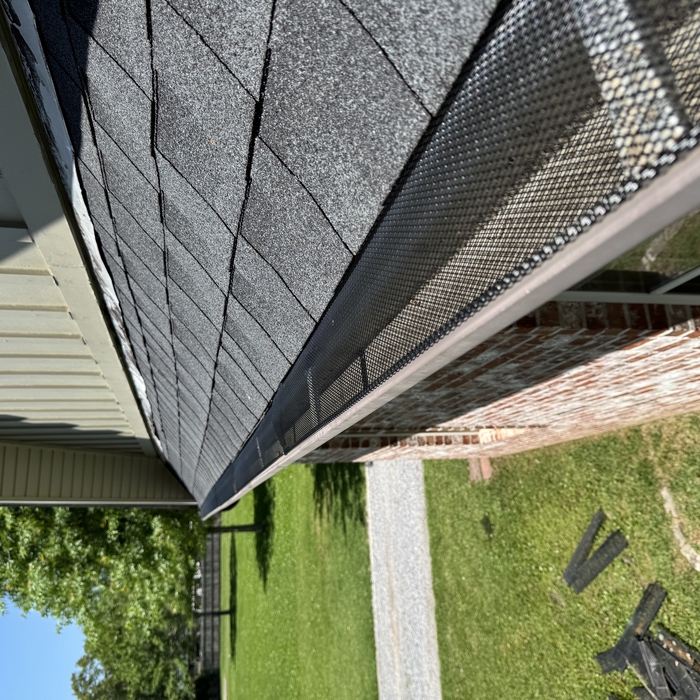 Leaf Guard