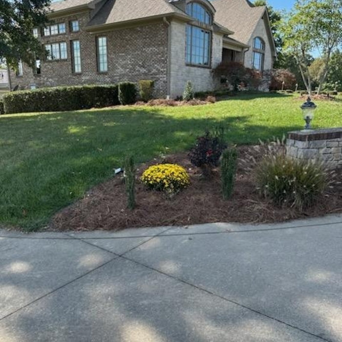 Landscaping and shrub upkeep around large home