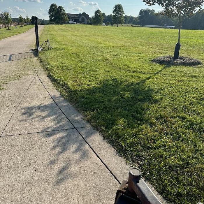 Lining of driveway
