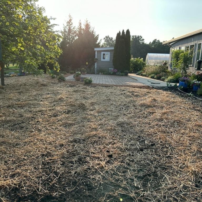 Finished area fresh soil and straw
