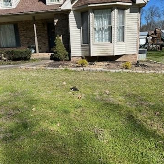 needs all new landscaping
