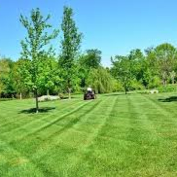criss-cross mowing pattern