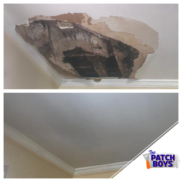 water damage repair