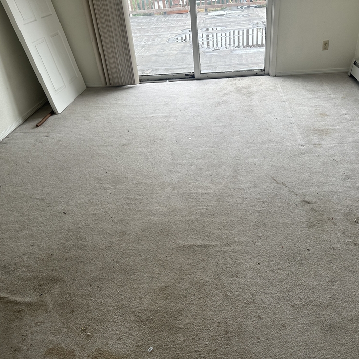 carpet