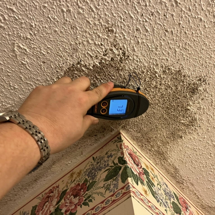 Is it still wet - Mold Inspection.