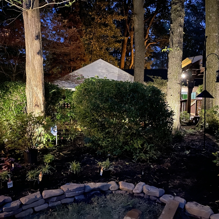 Additional Lighting on side of home