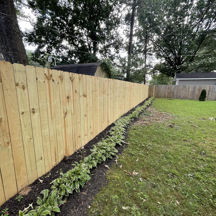 6ft Pressure treated regular fencing.