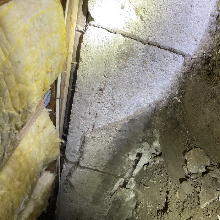 Subterranean termite shelter tubes