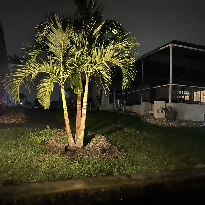 The Elegance of Landscape Lighting