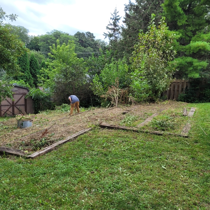 Happy Little Yard