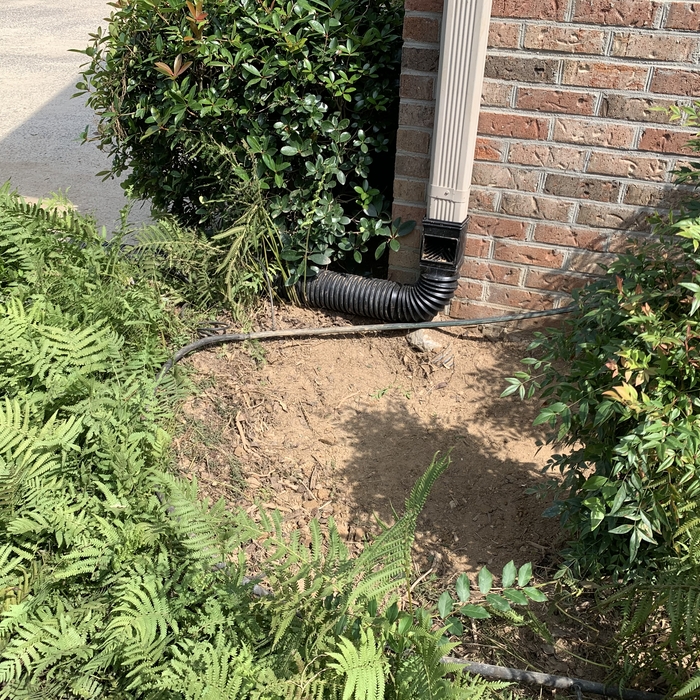 Tree removed
