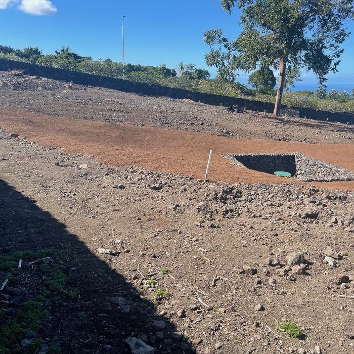 Laying Soil for initial organic soil