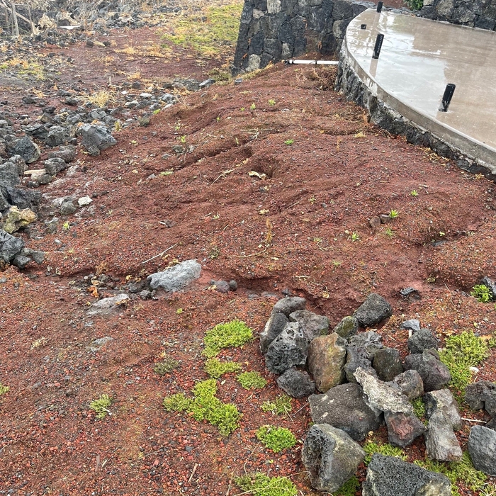 Proposed Area - Before