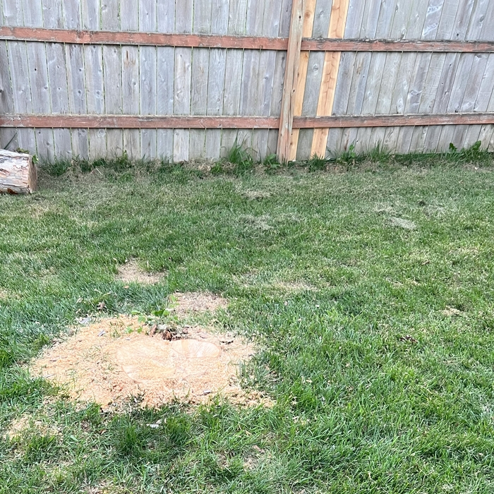 Fence repaired and stump removed