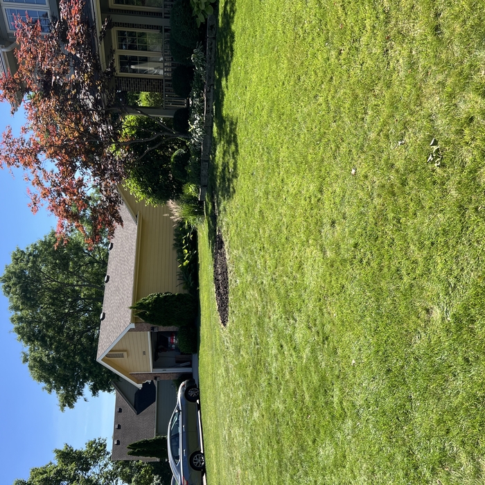 Cleaned up, removed and backfilled
