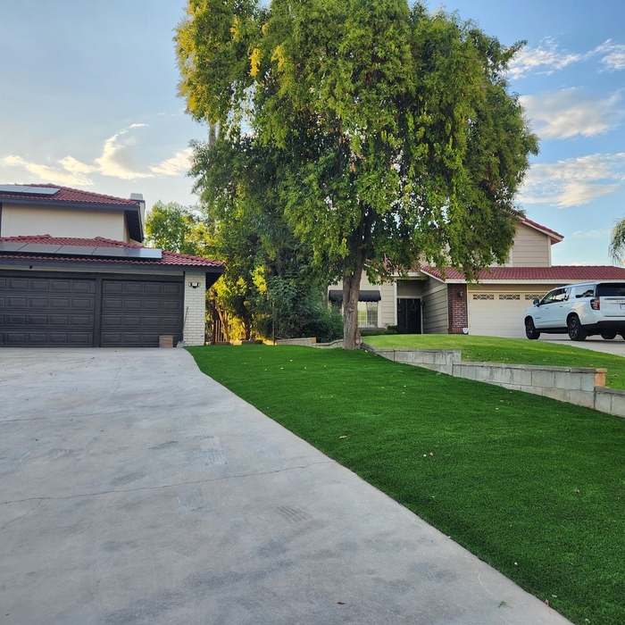 Artificial Turf