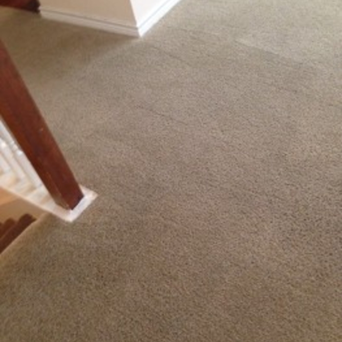 Carpet Cleaning