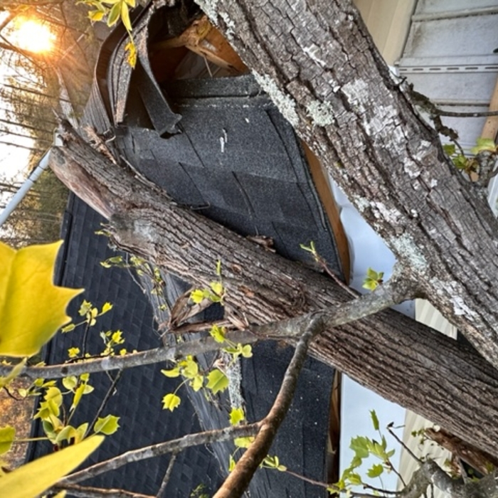 Storm Damage
