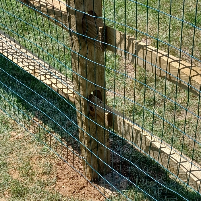 Split Rail Fence Repair