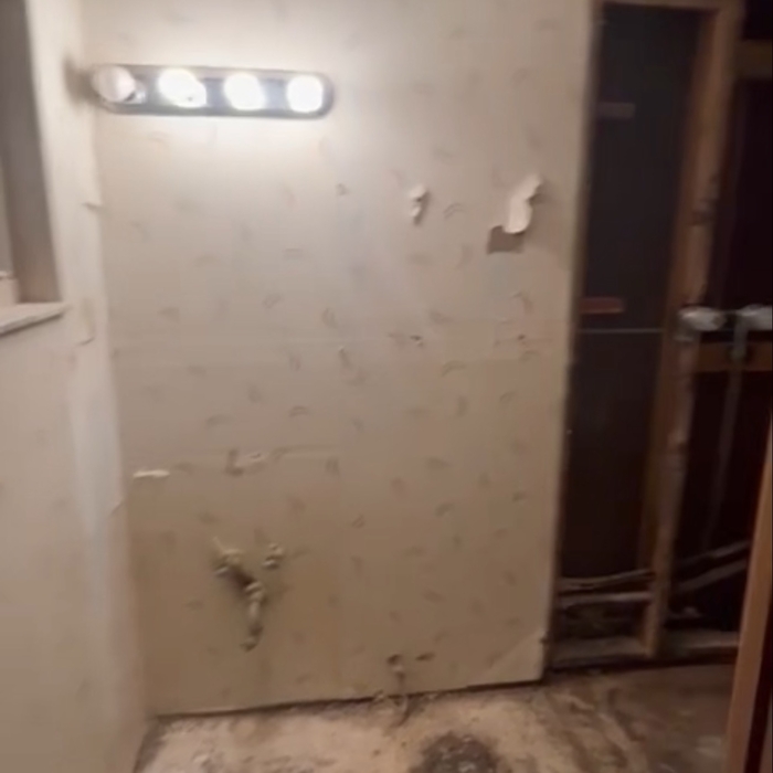 Vanity &amp; toilet | before