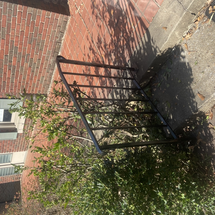 Handrail