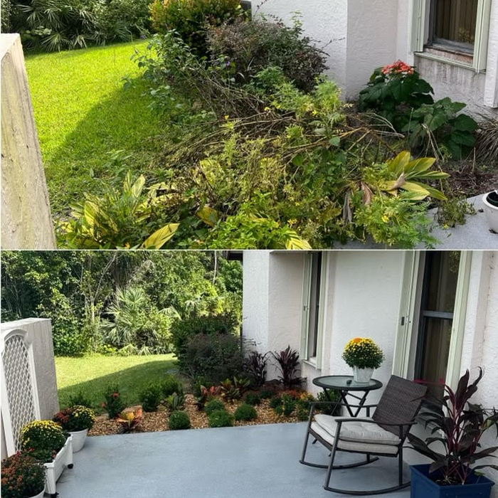 Before and After