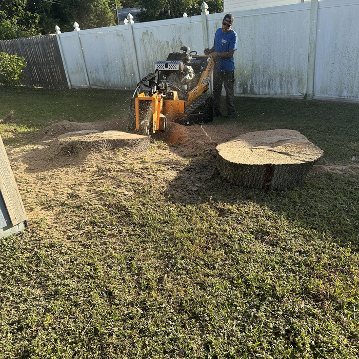 cliff stump grinding