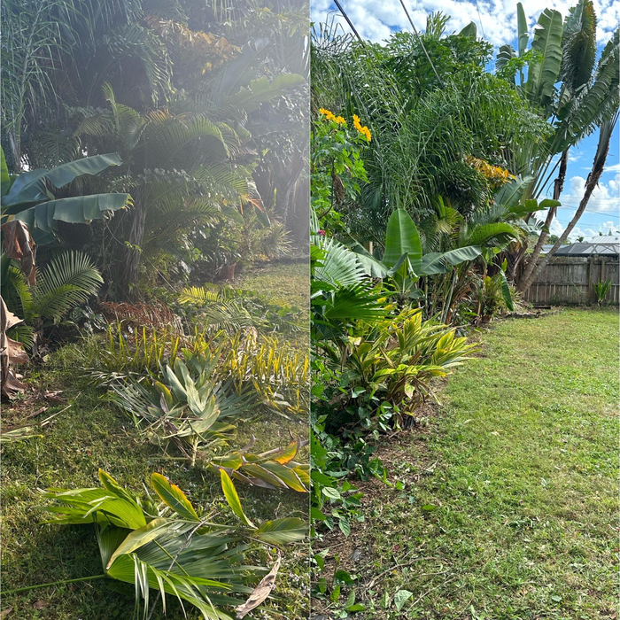 trimmed lot line