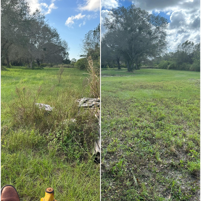 mowed 3 acres