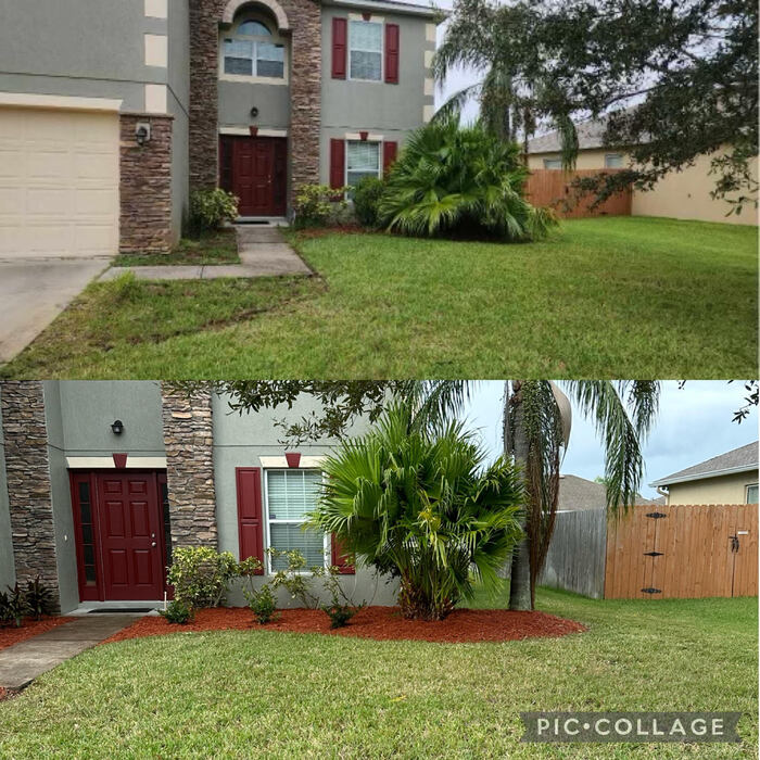 before and after