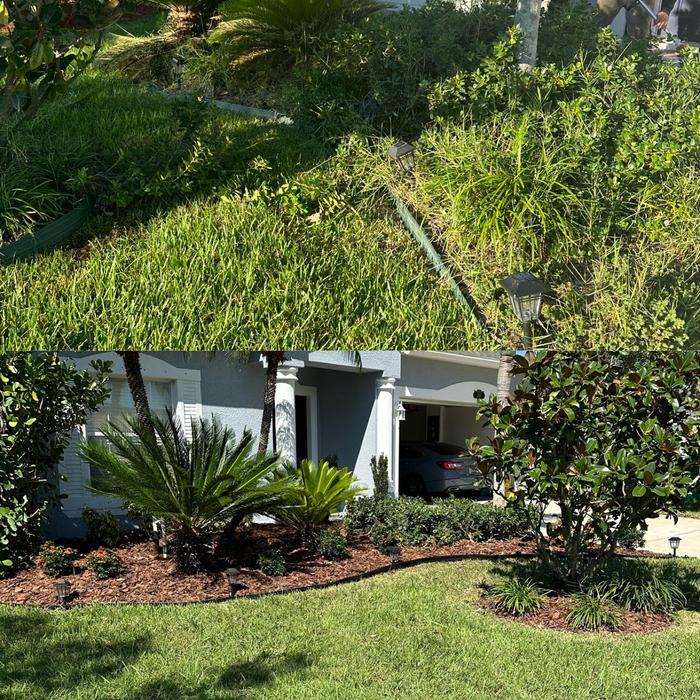 before and after