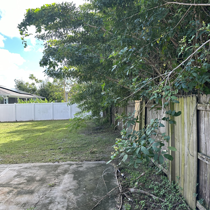lot before trimming