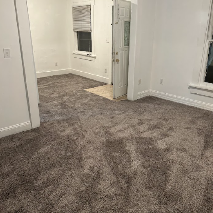 Rental Carpet